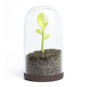 Контейнер для сыпучих продуктов Qualy  Sprout Jar